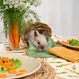 Скатерть декоративная "Радушная хозяйка (Традиция)", рогожка, 100 % хлопок, "Морковки"